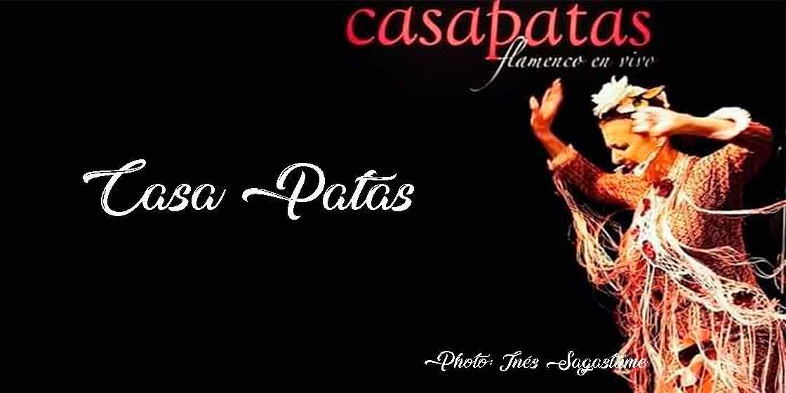 casa-patas-opt