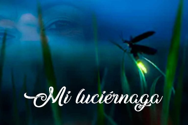 Inmaculada ortega moda flamenca